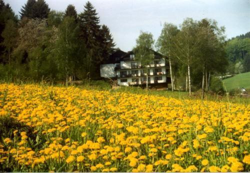 Birkenhof Otel Wald-Michelbach Dış mekan fotoğraf