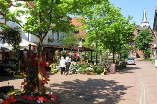 Birkenhof Otel Wald-Michelbach Dış mekan fotoğraf