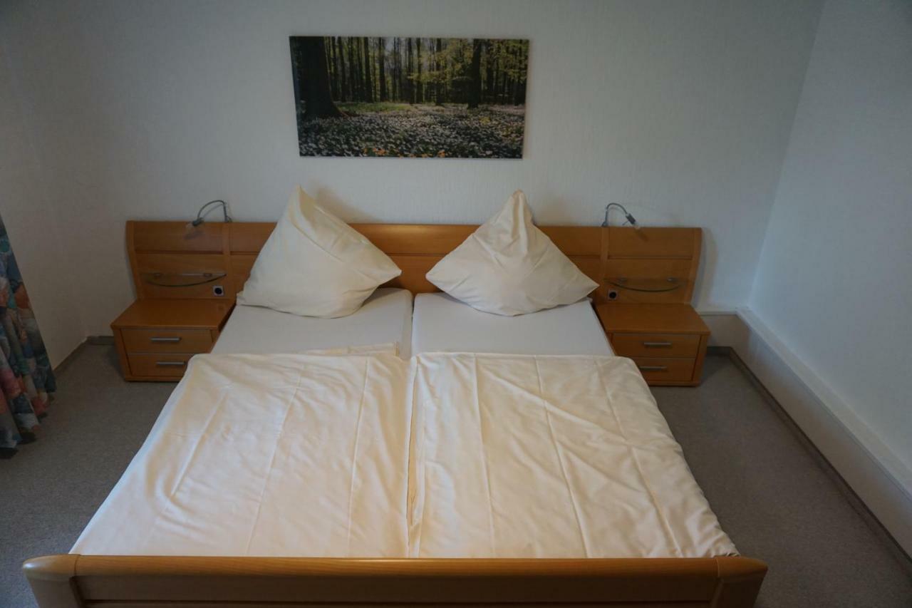 Birkenhof Otel Wald-Michelbach Dış mekan fotoğraf